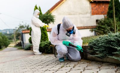 Disinfestazione Roma