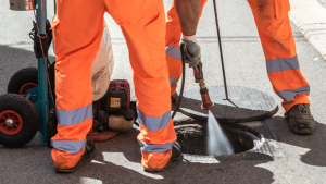 Disinfestazione volatili Roma